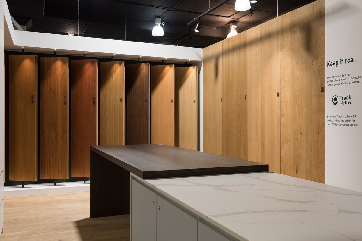 veneer space 2