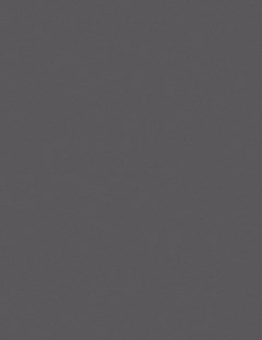 Anthracite Metallic